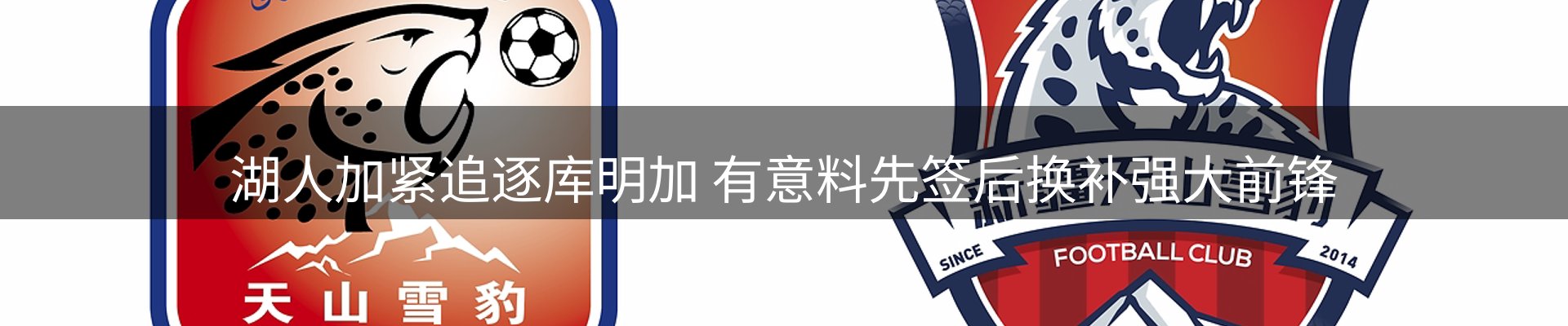 资讯报道
